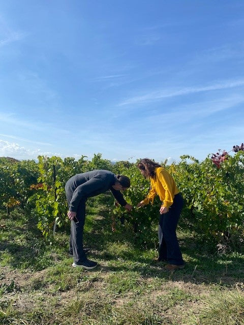 Marie et Vincent Tricot "Petites Fleurs" Gamay 2021